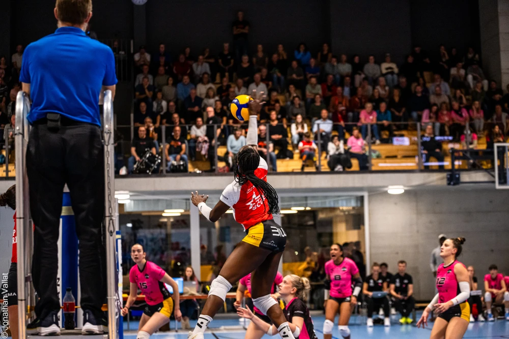 Bild des Livestreams