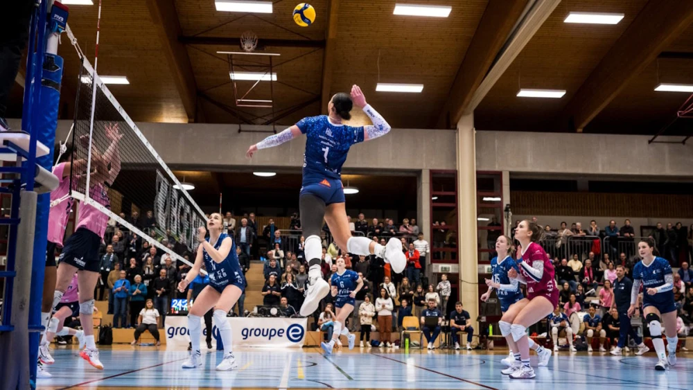 Bild des Livestreams