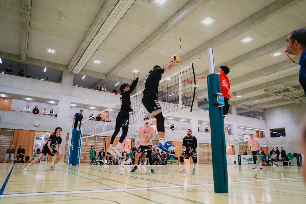 Bild des Livestreams