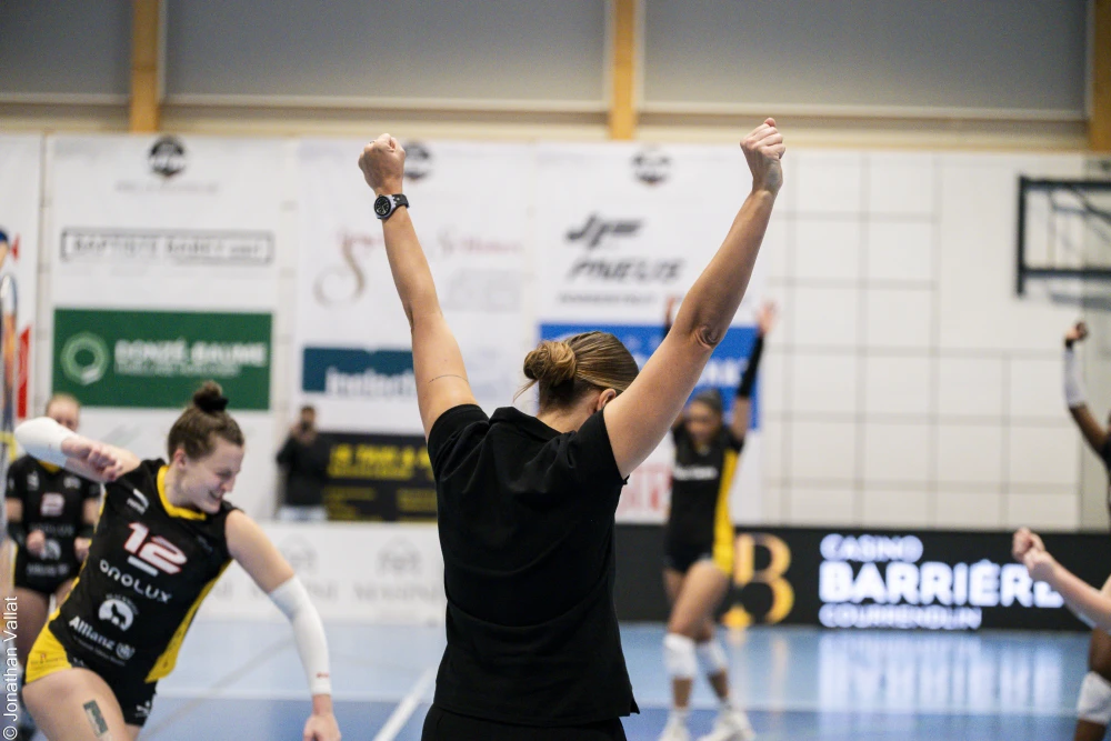 Bild des Livestreams