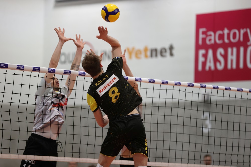 Bild des Livestreams