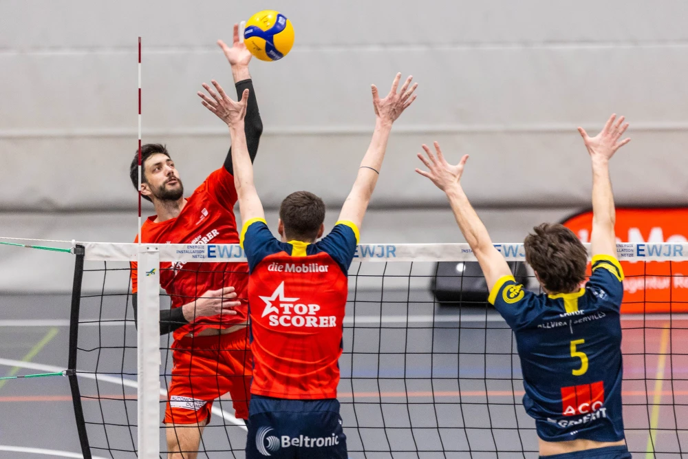 Bild des Livestreams