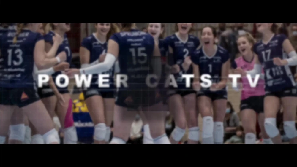 Bild des Livestreams