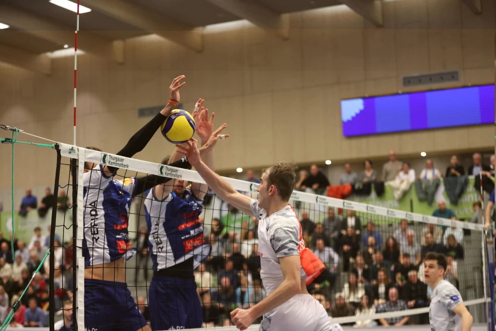 Bild des Livestreams