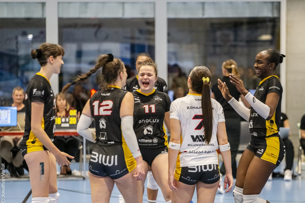 Bild des Livestreams