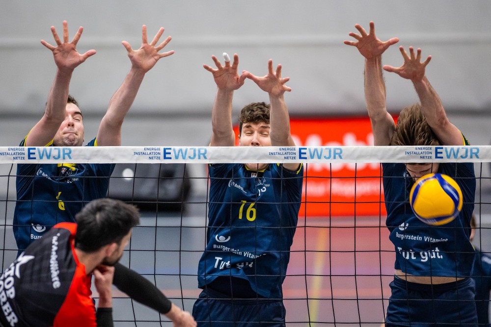 Bild des Livestreams