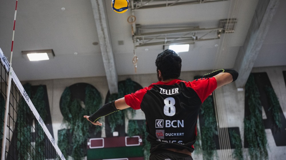 Bild des Livestreams