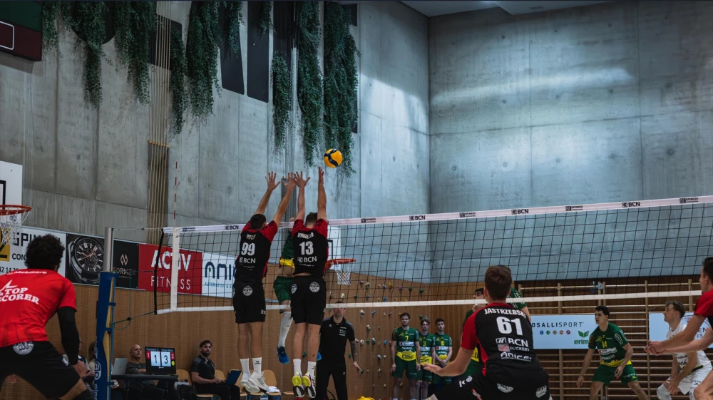 Bild des Livestreams