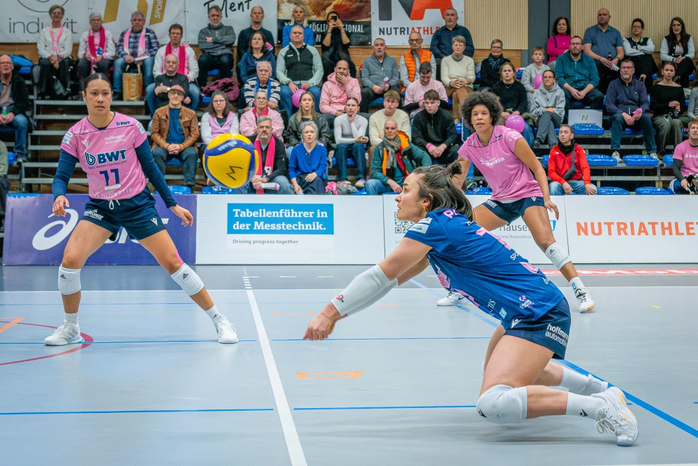 Bild des Livestreams