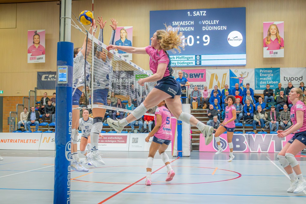 Bild des Livestreams