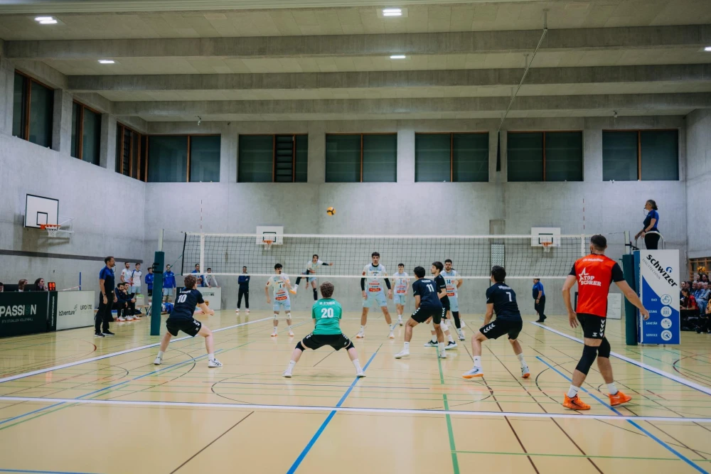 Bild des Livestreams