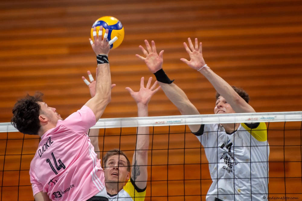 Bild des Livestreams