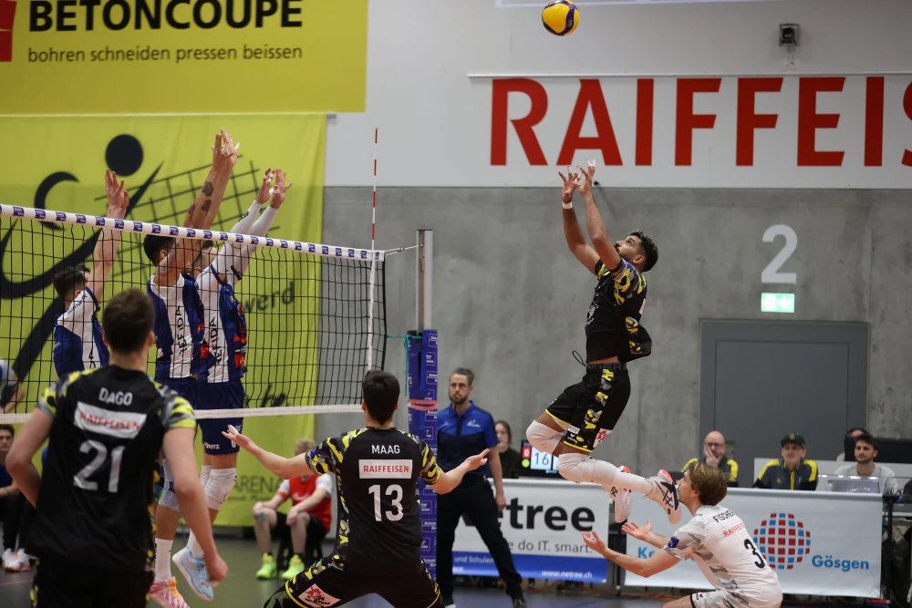 Bild des Livestreams