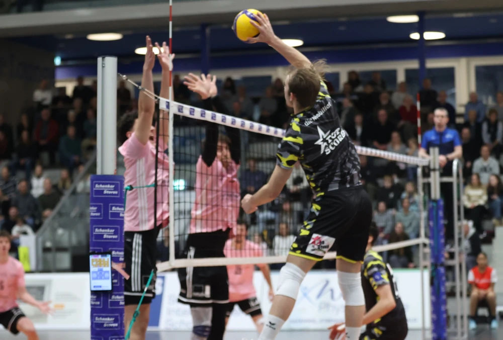 Bild des Livestreams