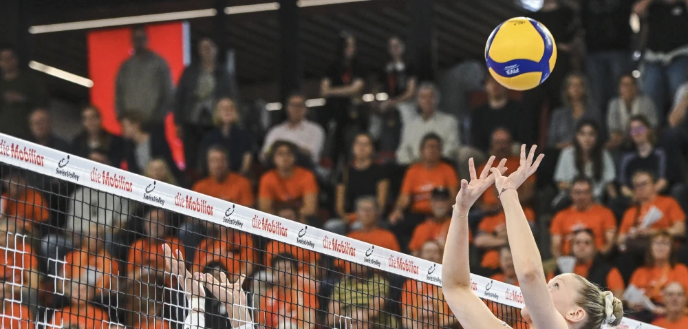 Bild des Livestreams