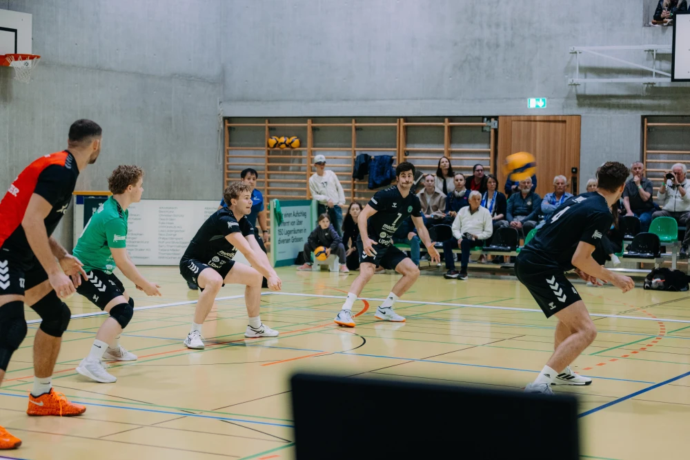 Bild des Livestreams