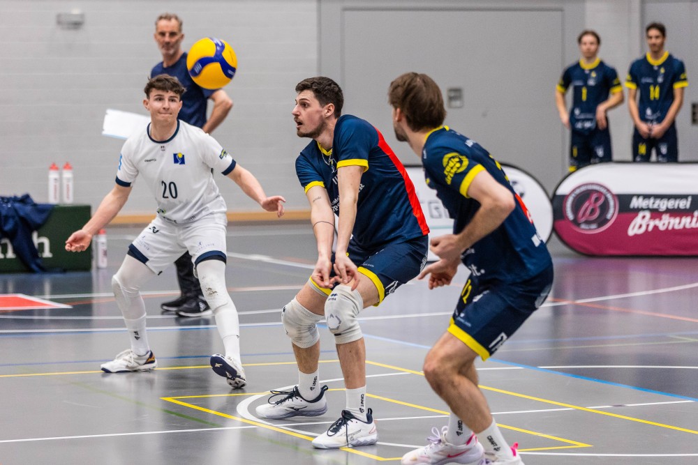 Bild des Livestreams