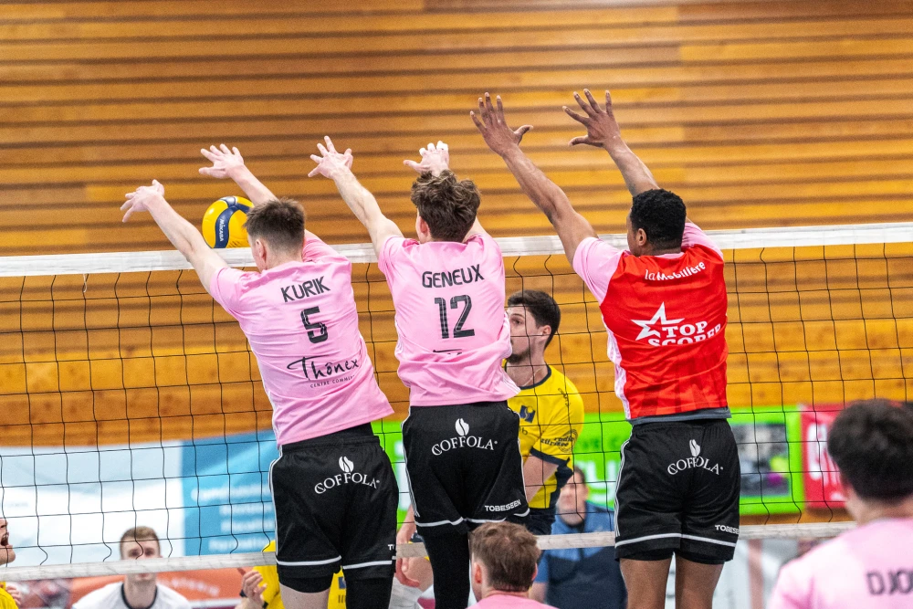 Bild des Livestreams