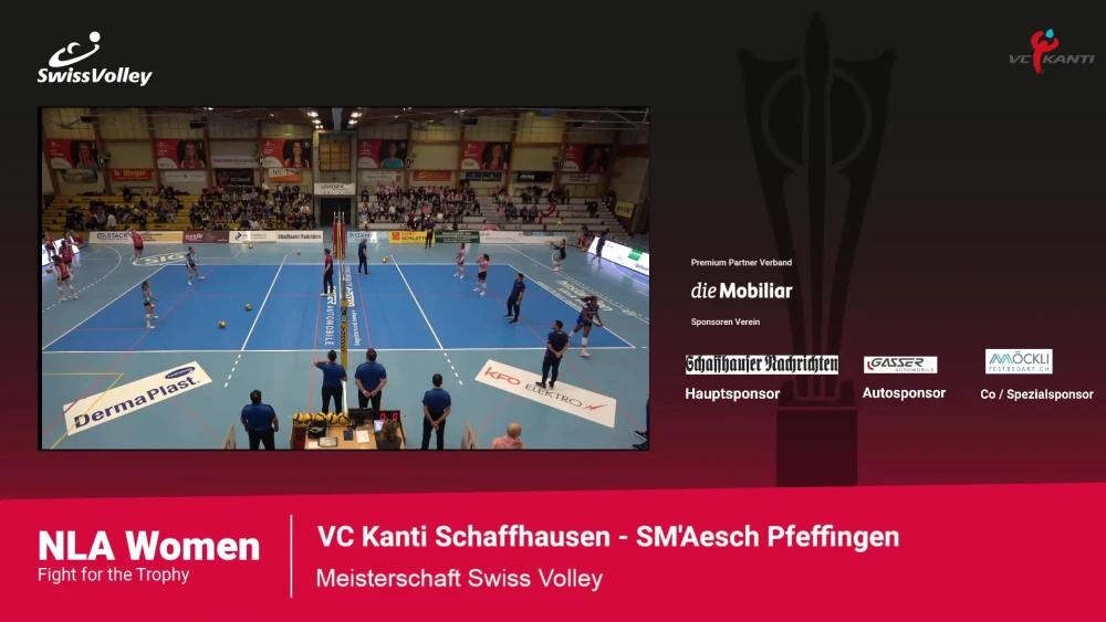 Bild des Livestreams