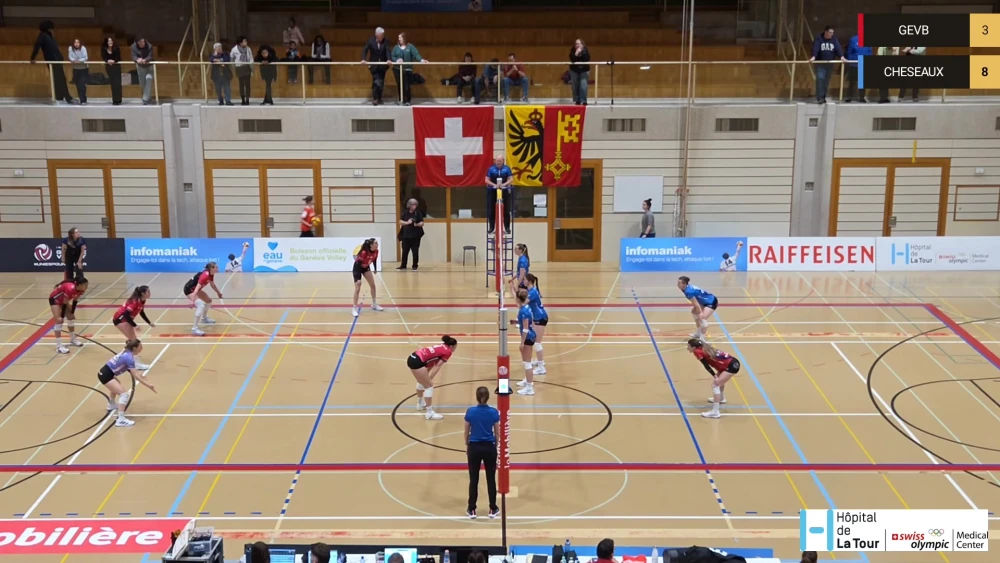 Bild des Livestreams