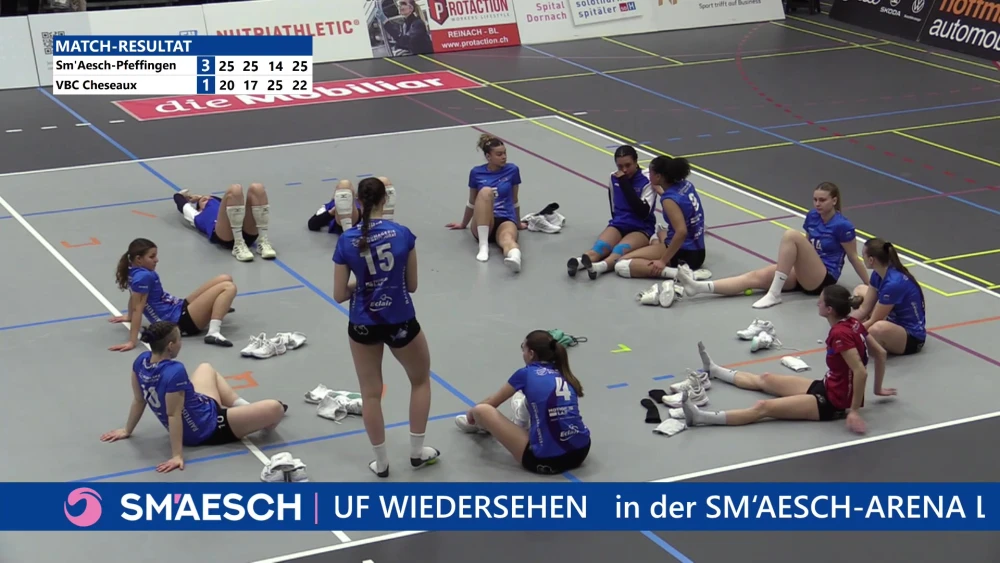 Bild des Livestreams