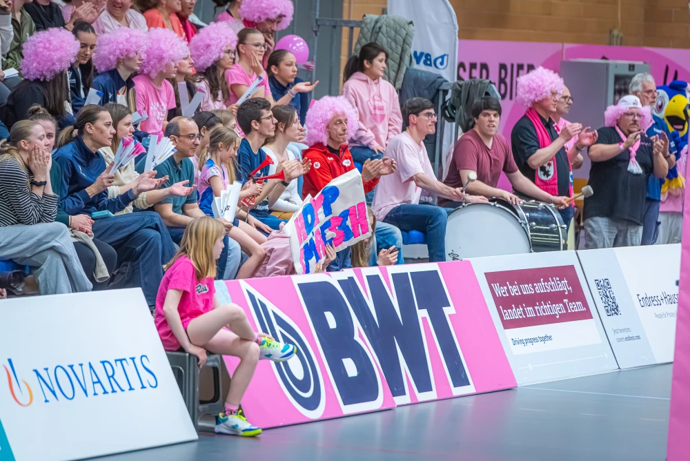 Bild des Livestreams