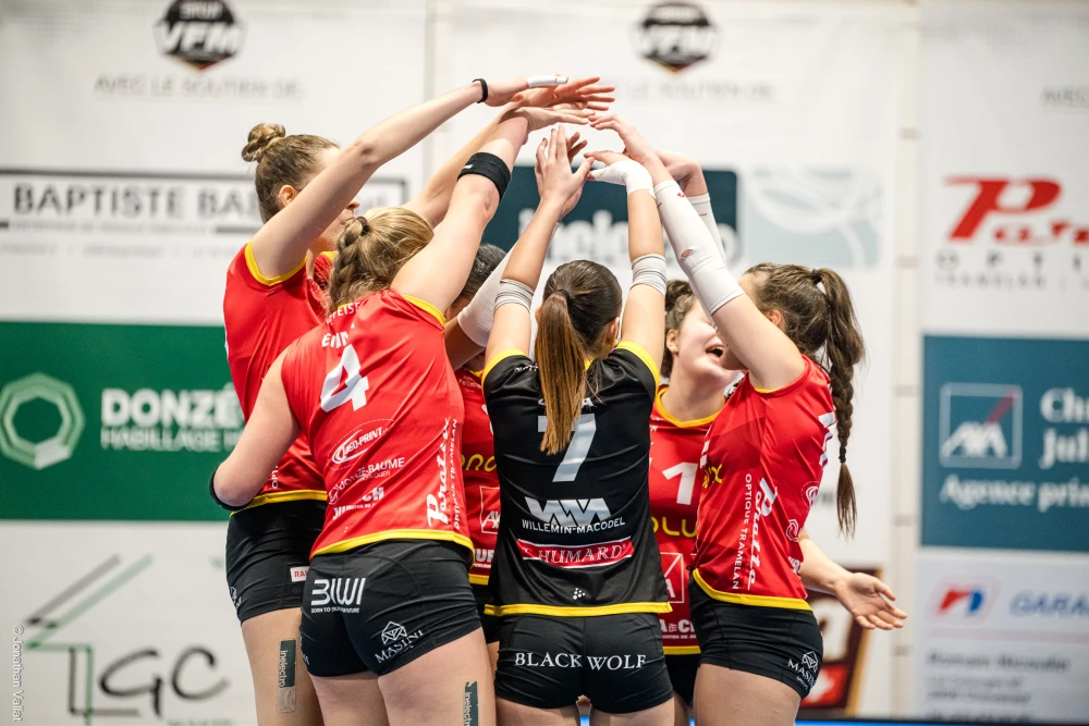 Bild des Livestreams