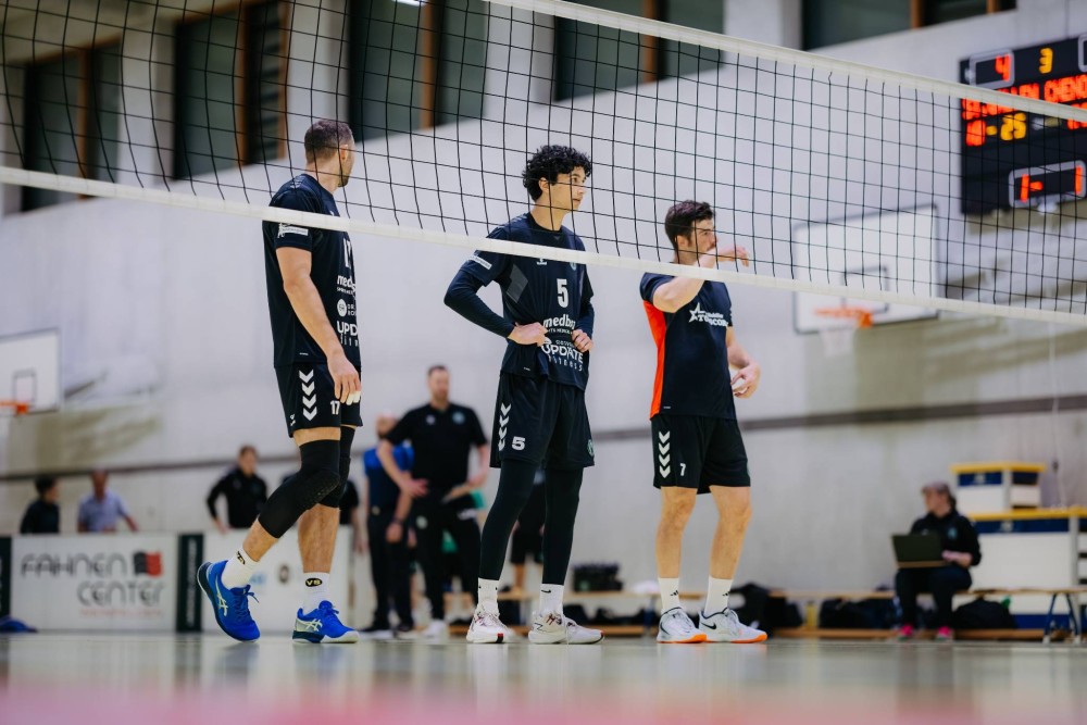 Bild des Livestreams