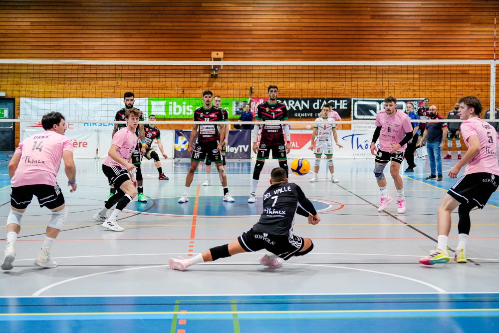 Bild des Livestreams