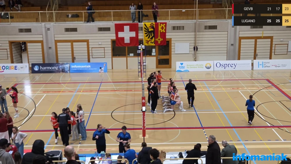 Bild des Livestreams