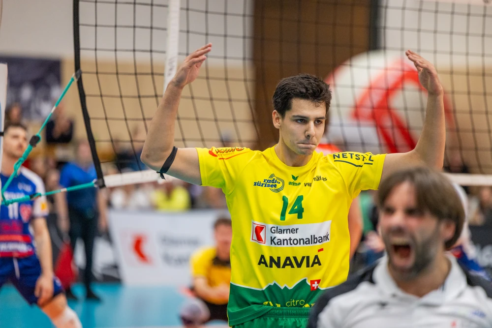 Bild des Livestreams