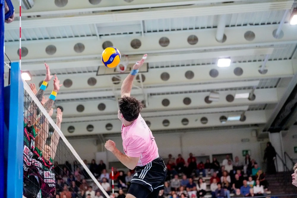 Bild des Livestreams