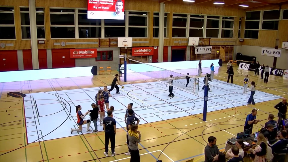 Bild des Livestreams