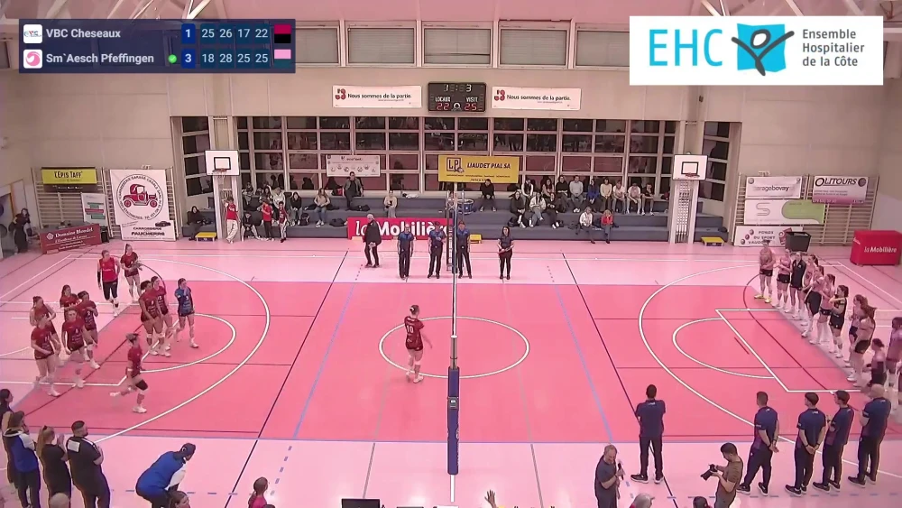 Bild des Livestreams